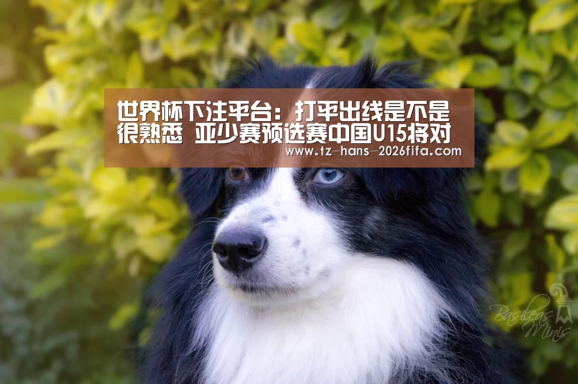 世界杯下注平台